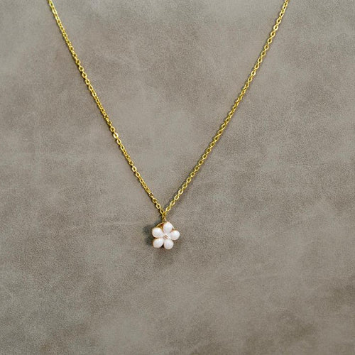 Bijoue Tournifleur - Bijoue